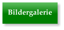 Bildergalerie